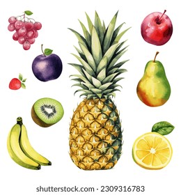 Fruits clipart vector collection in watercoor style. Grape, apple, plum, strawberry, banana, kiwi, ananas, pear, apple, pineapple, lemon isoleted on white background. Summer fruits set.