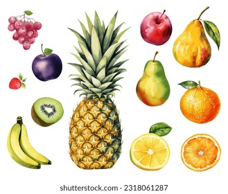 Fruits clipart vector collection in watercoor style. Grape, apple, plum, strawberry, banana, kiwi, ananas, pear, apple, pineapple, orange, lemon isoleted on white background. Summer fruits set.