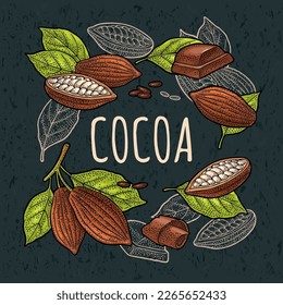 Fruits of cocoa with leaves and beans. Chocolate piece, bar and shave. Vector vintage color engraving illustration. Isolated on dark background. Hand drawn design element for label and poster