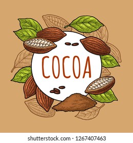 Fruits of cocoa with leaves and beans. Vector vintage black engraving illustration. Isolated on white background. Hand drawn design element for label and poster