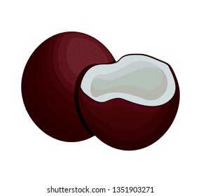 fruits coconuts healthy icon