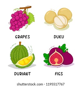 Fruits, Fruits Collection, Duku, Durian, Figs, Grapes