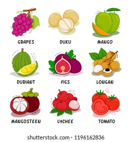 Fruits, Fruits Collection, Grapes, Duku, Mango, Durian, Figs, Longan, Mangosteen, Lychee, Tomato