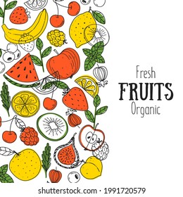 Fruits collection. Hand drawn vector illustration. Minimalist design. Scandinavian style illustration. Healthy organic food