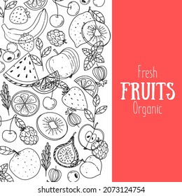 Fruits collection. Hand drawn vector illustration. Minimalist design. Scandinavian style illustration. Healthy organic food