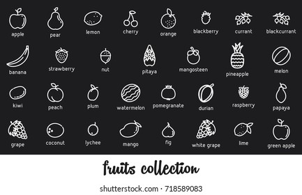 Fruits collection. Healthy vegetarian food. Vector icon set. Modern line style illustrations. Isolated background