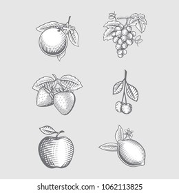 fruits collection nature