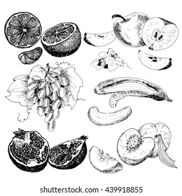 Fruits collection. Set of hand drawn graphic illustration in sketch style. Ink food illustrations with grapes, bananas, kiwi and other fruits