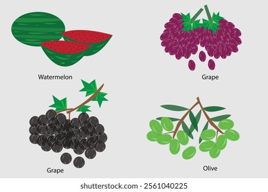 Fruits collection vector icon illustration set food nature and vegetables concept