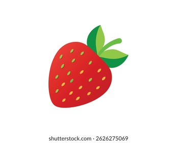 Fruits color vector, lychee fruits