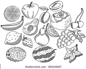 Fruits coloring book for adults vector illustration. Anti-stress coloring for adult. Zentangle style. Black and white lines. Lace pattern