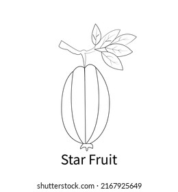 Fruits coloring pages, Easy and simple fruit line art for kids and toddler, Starfruit 