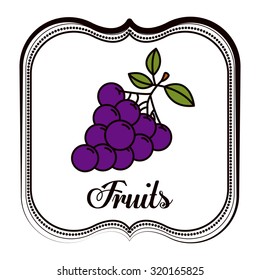 Fruits concept over frame design, vector illustration eps 10