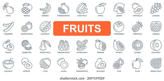 Fruits concept simple line icons set. Pack outline pictograms of mango, banana, pomegranate, apple, lemon, mangosteen, jackfruit, pineapple and other. Vector symbols for website and mobile app design