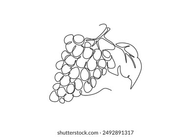 Fruits concept. Single line draw design vector graphic illustration.