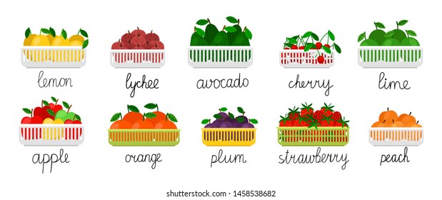 Fruits in containers vector collection. Fruits and berries illustration