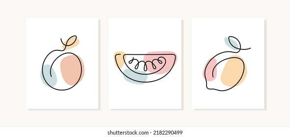 Fruits continuous line posters. Orange, watermelon, lemon artistic illustration.