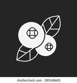fruits cranberry icon