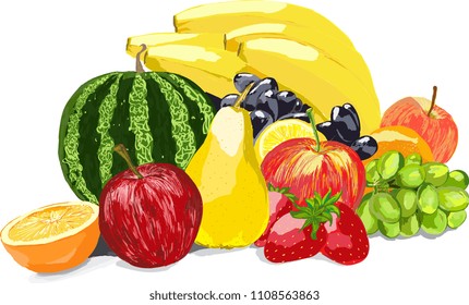 Fruits are depicted in color vector. Watermelon, bananas, apples, pears,  grapes, strawberry, and orange.