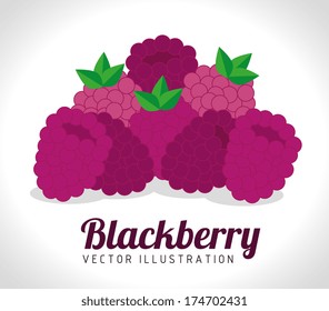 fruits design  over gray  background vector illustration