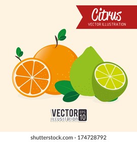 fruits design  over  pink background vector illustration
