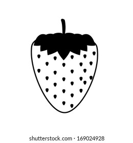 fruits design  over white background vector illustration