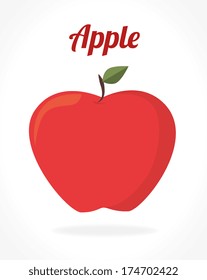 fruits design  over white   background vector illustration