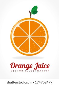 fruits design  over white   background vector illustration