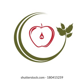 fruits design over  white background vector illustration