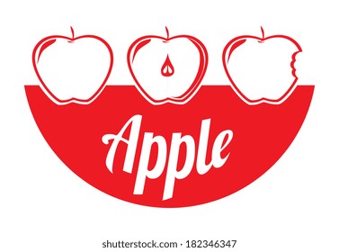 fruits design over white background vector illustration    