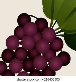 Fruits design over white background, vector illustration