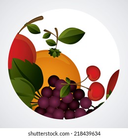 Fruits design over white background, vector illustration