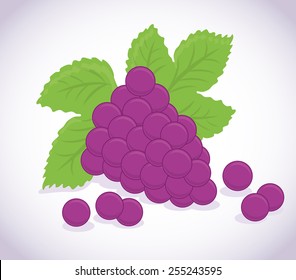 Fruits design over white background, vector illustration.