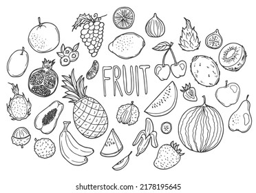 Fruits Doodle Icon Hand Made. Clip Art sketch Vector illustration. Fresh food concept