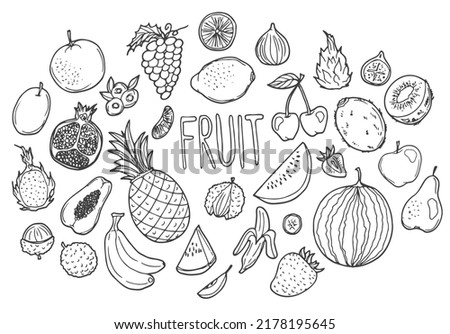 Fruits Doodle Icon Hand Made. Clip Art sketch Vector illustration. Fresh food concept