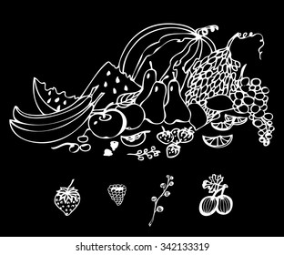 Fruits doodle set.