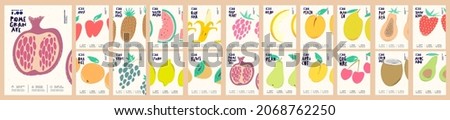Fruits are drawn. Big set. Collection of vector illustrations. Simple, flat design. Patterns and backgrounds. Perfect for poster, cover, banner.