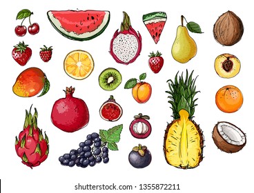 Fruits drawn by a line on a white background. Vector colored food sketch. Watermelon, pineapple, coconut, pear, grapes, pomegranate, mango, berries, figs, kiwi, cherry, strawberry 