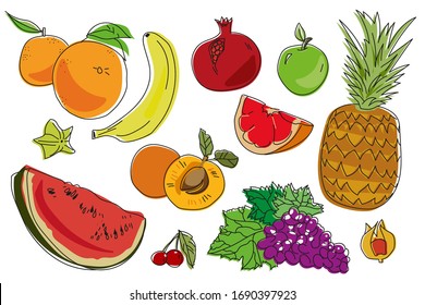 Fruits drawn by a line on a white background. Vector colored food sketch. Pineapple, grapes, apple, orange, mango, mandarin, peach, banana, cherry EPS