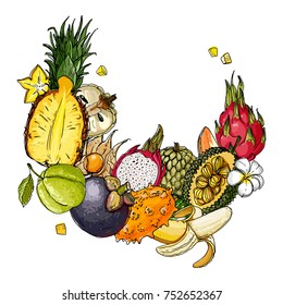 Fruits drawn by a line on a white background. Fruits from Thailand. Food sketch lines. Coconut, cocktail, drinking coconut, umbrella. 