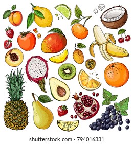 Frutas desenhadas por uma linha sobre um fundo branco. Esboço de comida colorida vetorial. Abacaxi, uvas, pêra, maçã, laranja, coco, manga, tangerina, pêssego, kiwi, banana, limão