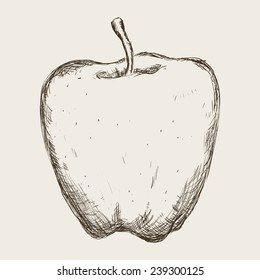 fruits drawn design, vector illustration eps10 graphic 