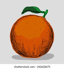 fruits drawn design, vector illustration eps10 graphic 