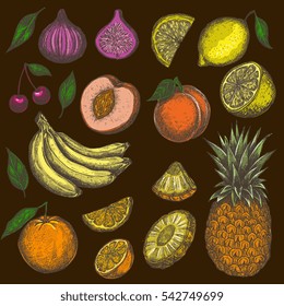 Fruits engraved colored  hand drawn vector illustrations. Isolated on white background. Ink line art elements for menu design, label, recipe, cook book. Vintage style, detailed drawings.