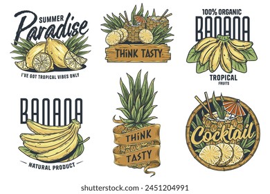 Fruits or exotic eco elements for vegetarian menu. Organic nature ingredients for food market. Set of vintage-style labels featuring tropical fruits and organic themes.