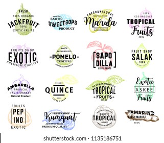 Fruits of exotic origin icons, pastel sketches. Natural tropical food jackfruit and pops, marula and pomelo, sapodilla and salak, tamarind and kumquat, quince and pepino, ambarella vector isolated.