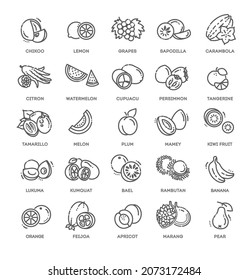 Fruits, exotic fruits, vegetarian - flat icon set