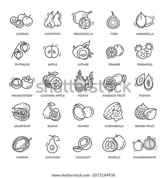 Fruits, exotic\
fruits, vegetarian - flat icon\
set