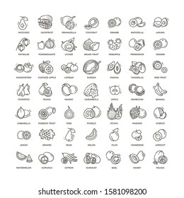 Fruits, exotic fruits, vegetarian - minimal thin line web icon set