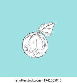 Fruits, exotic fruits, vegetarian - minimal thin line web icon set. Included the simple vector icons as mango, durian, rambutan, guava, tamarind, jackfruit. Outline icons collection.